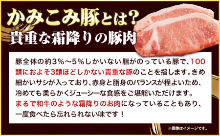 「かみこみ豚」豚丼セット 6パック(900g)篠原精肉店《60日以内に順次出荷(土日祝除く)》北海道 本別町 豚 肉 豚丼 かみこみ丼 丼 どんぶり 送料無料