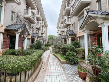 中央大學旁｜萊茵富邑✨庭院透天美別墅✨萍｜桃園市中壢區中正路