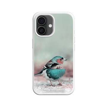 iPhone 16 SolidX 白 - Julien Tabet - 水鳥