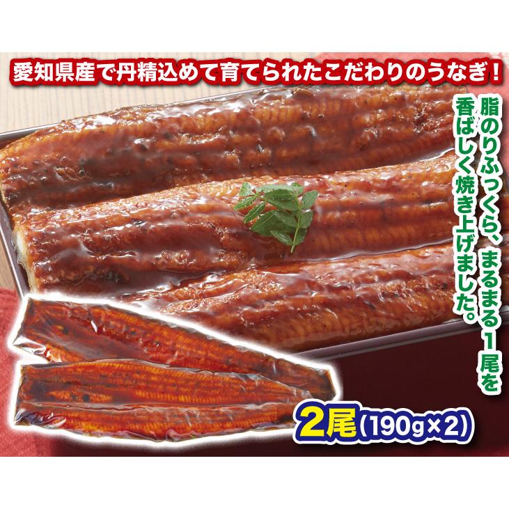 愛知県産うなぎ長蒲焼2尾 190g×2 送料無料