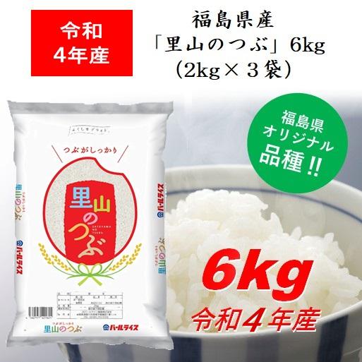 令和5年産 福島県産米「里山のつぶ」６ｋｇ（２ｋｇ×３） 米 お米 送料無料 新米