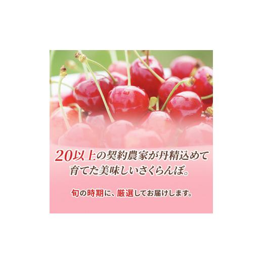 ふるさと納税 北海道 仁木町  先行受付 2024年7月から出荷 北海道 仁木町産 サクランボ 南陽 600g 厳選品  松山商店