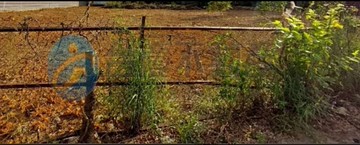 龍潭大面寬一般農｜桃園市龍潭區龍吟段