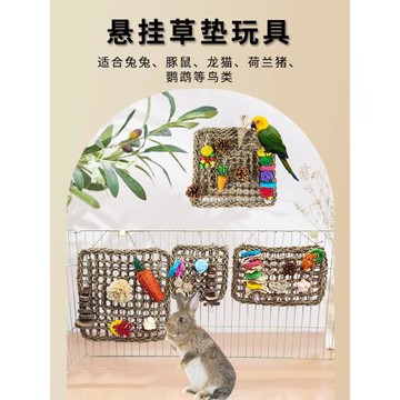 寵物草編網墊磨牙玩具兔子龍貓荷蘭豬籠內防護草墊蘋果木串可啃咬