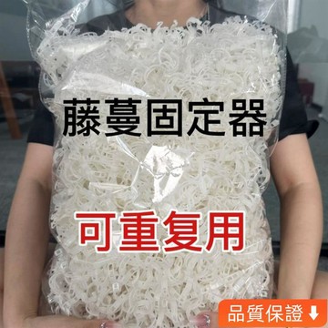 台灣出貨 黃瓜西紅柿豆角爬藤綁枝固定夾綠植蔬菜捆綁紮帶藤蔓專用園林工具 藤蔓固定夾 藤蔓固定器 植物固定夾 園藝用品 植