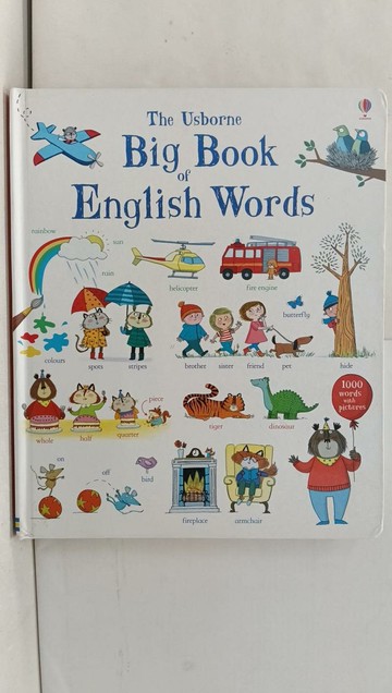 【書寶二手書T1／少年童書_Y52】Big Book of English Words_Mairi Mackinnon,Kate Hindley