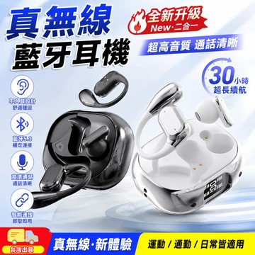 現貨🚀新款藍牙耳機 真無線降噪耳機 ANC 主動式降噪 ENC 降噪 HIFI音質 二合一藍芽耳機 藍牙耳機 無線耳機