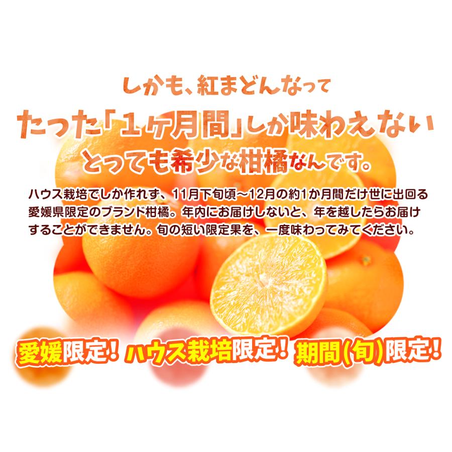 みかん 5kg 愛媛産 紅まどんな ご家庭用 柑橘 蜜柑 送料無料 食品