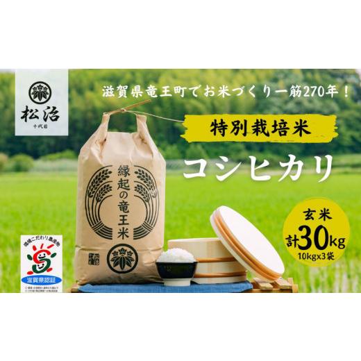 ふるさと納税 滋賀県 竜王町 コシヒカリ  玄米 10kg x 3袋 縁起の竜王米 特別栽培米 令和5年産  新米 ブランド米 玄米 30kg  おこめ ご飯 270年続く お米 農…