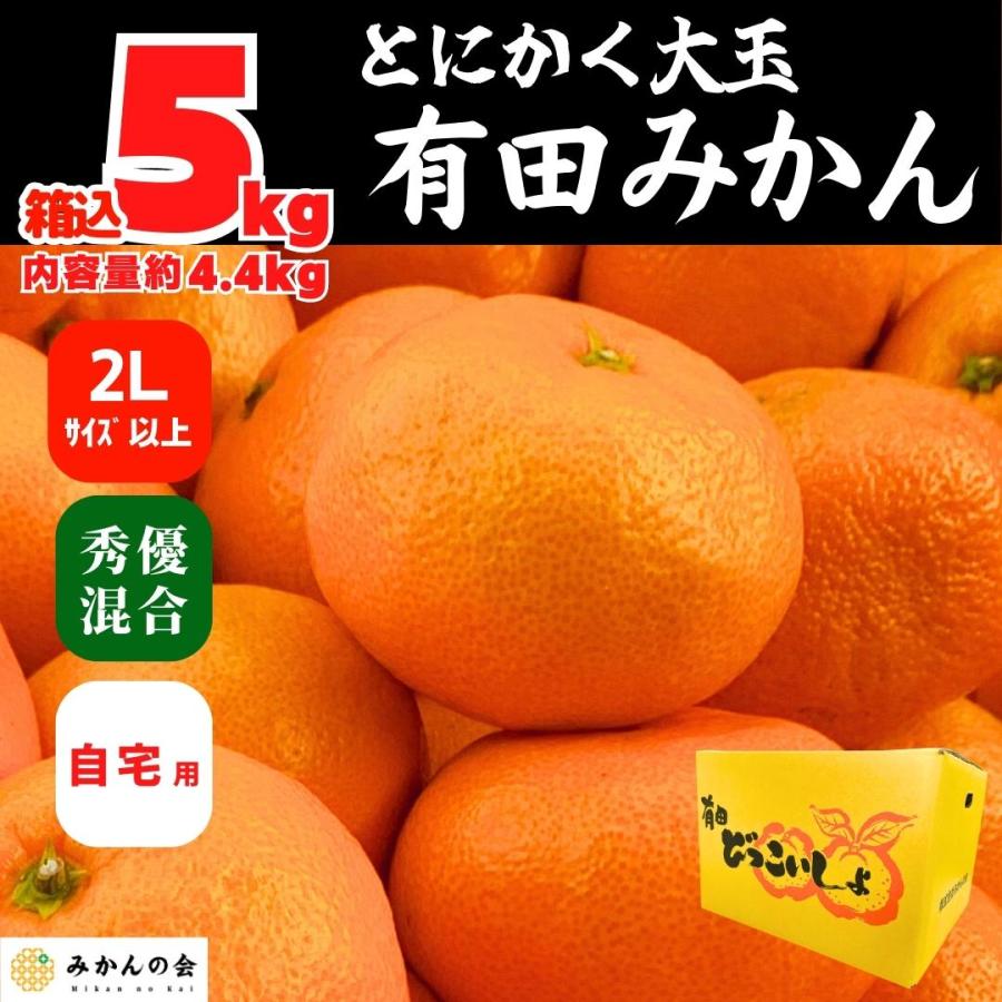 みかん  とにかく 大玉 箱込 5kg 内容量 4.4kg 2Lサイズ以上 秀品 優品 混合 有田みかん 和歌山県産 産地直送 家庭用