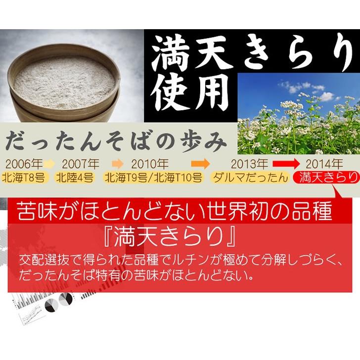 韃靼そば 乾麺300g（3人前）石臼製粉 長命庵　ルチン豊富な新品種