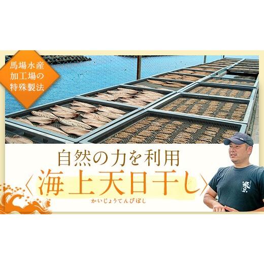 ふるさと納税 鹿児島県 薩摩川内市 AS-005 きびなご塩干1kgセット(500g×2)