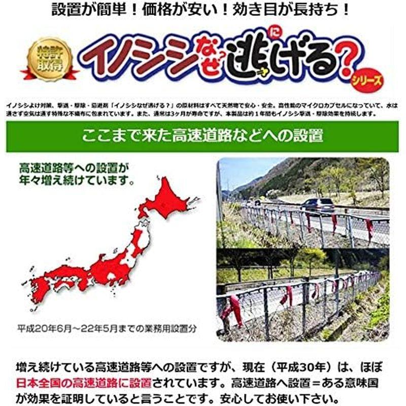 イノシシなぜ逃げる 撃退率95%以上 セット イノシシ対策 イノシシ 撃退 猪 鳥獣 猪被害 猪よけ