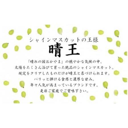 ふるさと納税 岡山県産シャインマスカット晴王　１kg 岡山県備前市