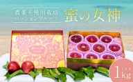 沖縄情熱農園 農薬不使用栽培パッションフルーツ　「蜜の女神」1kg（化粧箱）