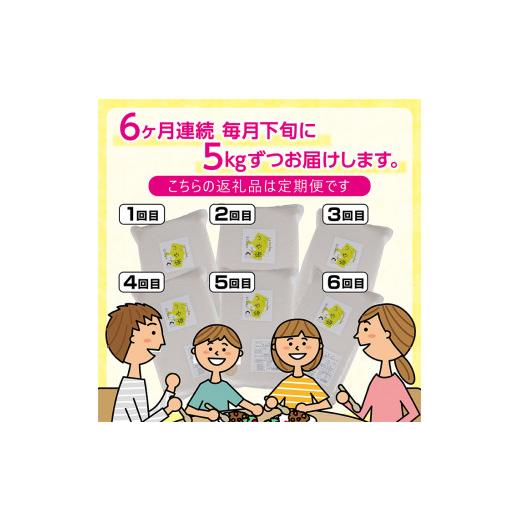 ふるさと納税 山形県 酒田市 SF0112　令和5年産 特別栽培米 つや姫5kg×6回(計30kg)〈太ももの会〉 FU