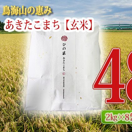 《定期便》16kg×3ヶ月 秋田県産 あきたこまち 玄米 2kg×8袋 神宿る里の米「ひの米」（お米 小分け）