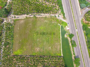 屏東新埤鄉屏鵝公路旁方正優質農地｜屏東縣新埤鄉南鐵段