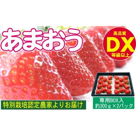 ふるさと納税 あまおう DX等級以上 約300g×2パック ※配送不可：北海道・東北・沖縄・離島 福岡県朝倉市