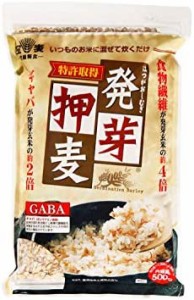 豊橋糧食工業 発芽押麦500g ×2個