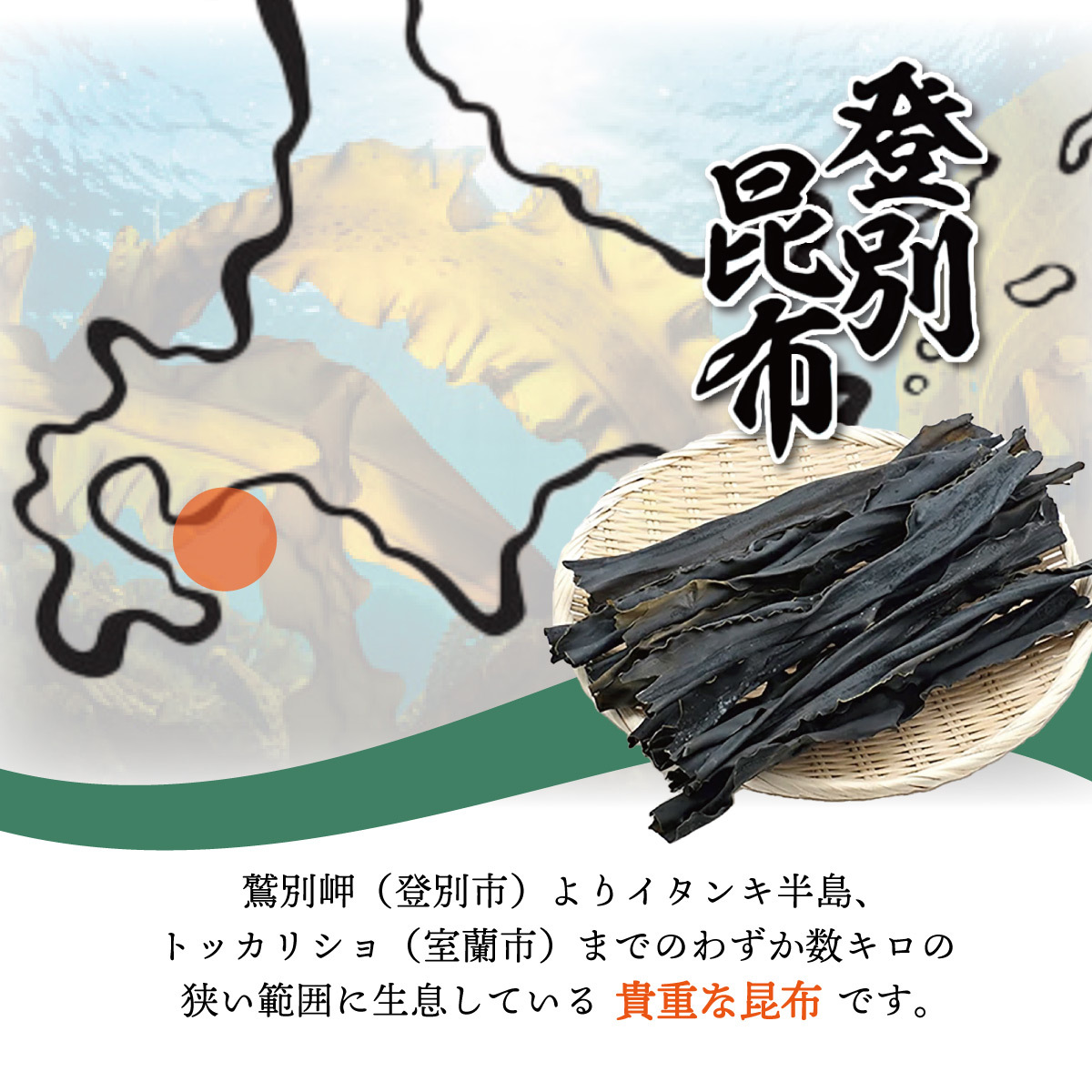 登別昆布200g×1袋