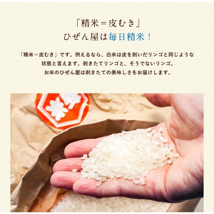 新米　米 お米 20kg 送料無料 夢しずく 佐賀県産　5年度 5kg×4袋