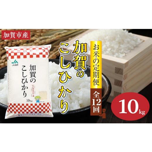 ふるさと納税 石川県 加賀市 石川県加賀市産 こしひかり精米10kg(令和5年産〜)