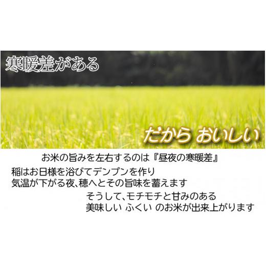 ふるさと納税 福井県 坂井市 福井県産 いちほまれ 10kg [A-3291]