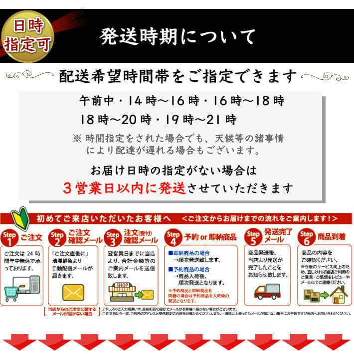 高知県産 藁焼き 鰹のたたき 大3節 10人前以上 トロ鰹 誕生日 ギフト 送料無料