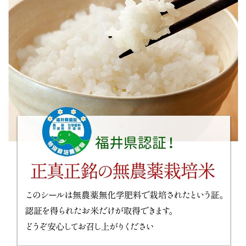 無農薬 玄米 米 3kg 無農薬 いちほまれ 令和5年福井県産 送料無料 無農薬・無化学肥料栽培
