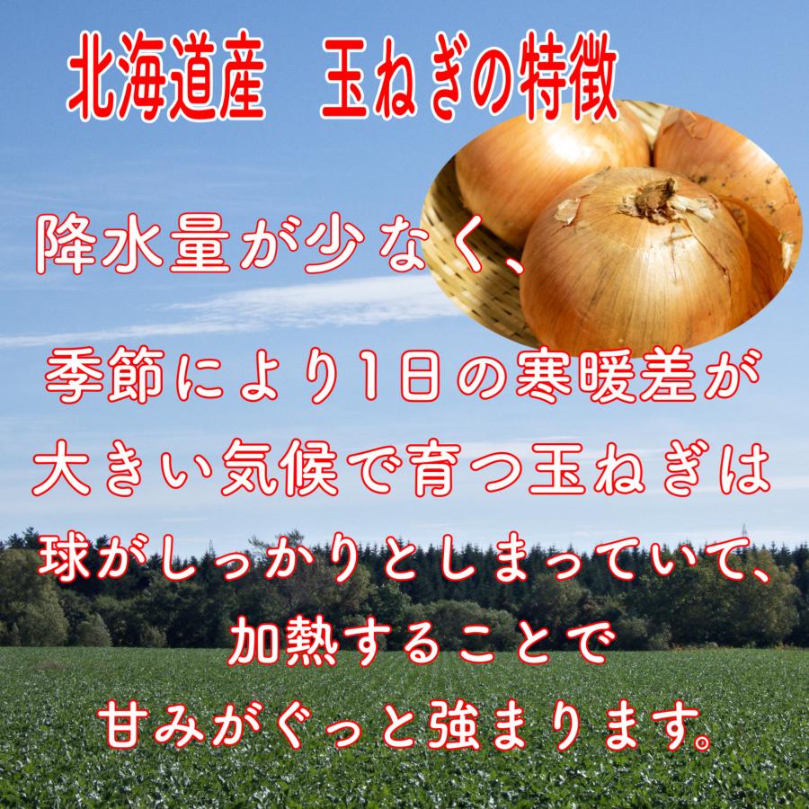 北海道産 玉ねぎ 10ｋｇ たまねぎ 玉葱 タマネギ 常備野菜