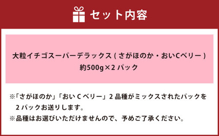 大粒イチゴスーパーデラックス 約800g(約400g×2パック) いちご 果物 フルーツ