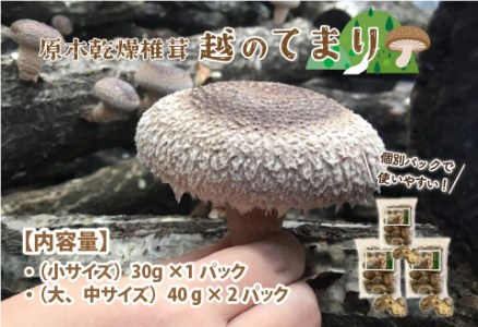 鯖江市産 原木乾燥椎茸「越のてまり」 越のルビーのトマトカレーセット
