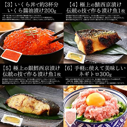 港ダイニングしおそう 豪華カニ入りグルメセット 10種入り かに 牡蠣 いくら醤油漬け 鯖西京漬け 銀鱈西京漬け ネギトロ 鯖開き 辛子明太子 蟹