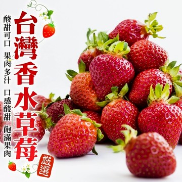 【切果季】台灣嚴選香水草莓XXL號12-15入(400g±10%/盒)