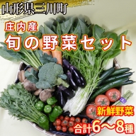 食の都庄内　庄内産 旬の野菜セット