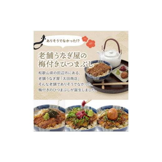 ふるさと納税 和歌山県 田辺市 紀州南高梅ひつまぶし 2食セット《うなぎ》 ／ 和歌山 田辺市 国産 国産鰻 鰻 うなぎ ひつまぶし 梅ひつまぶし 紀州南高梅 南高…