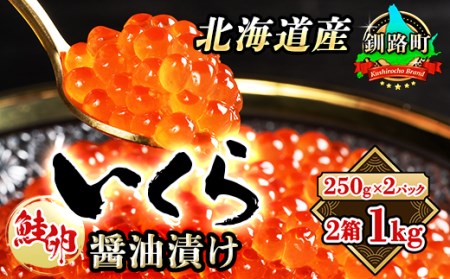 いくら醤油漬け 1kg＜250g ×2パック ×2箱＞ 小分け  国産 北海道産 いくら いくら醤油漬 イクラ ikura 天然 鮭 サーモン  鮭卵 鮭いくら 北海道 昆布のまち 釧路町 笹谷商店 直営 釧之助本店 人気の 訳あり！ 子どもの日 母の日 父親の日 ご飯 米 無洗米 にも最適