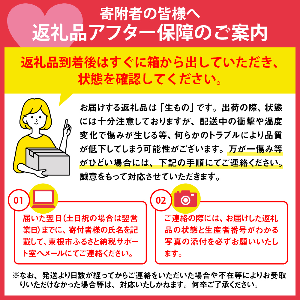 洋なし「ラ・フランス」3kg JA提供 糖度14度以上 光センサー選別 hi003-110