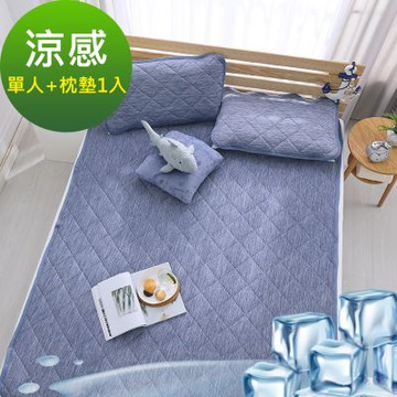 鴻宇 涼感-5度C 瞬涼可洗抗菌 單人 保潔墊枕墊 2件組 SUPERCOOL接觸涼感