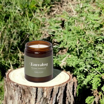 Torplyktan 北歐森林蠟燭 150g 松木森林