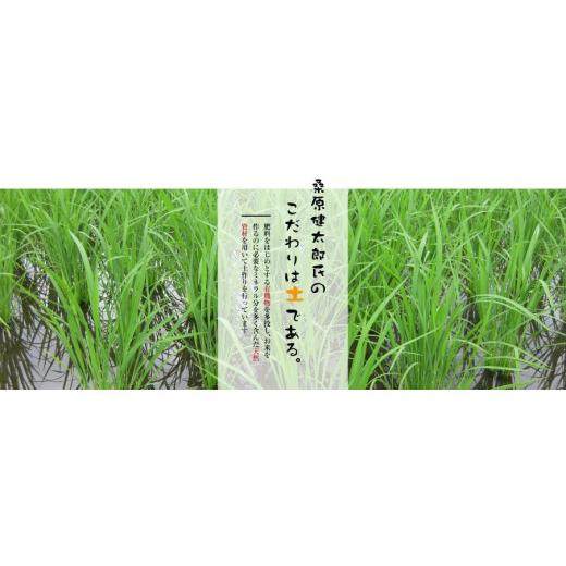 ふるさと納税 新潟県 津南町 最高級魚沼産こしひかり　 １０kg（5kg ×２）×全6回