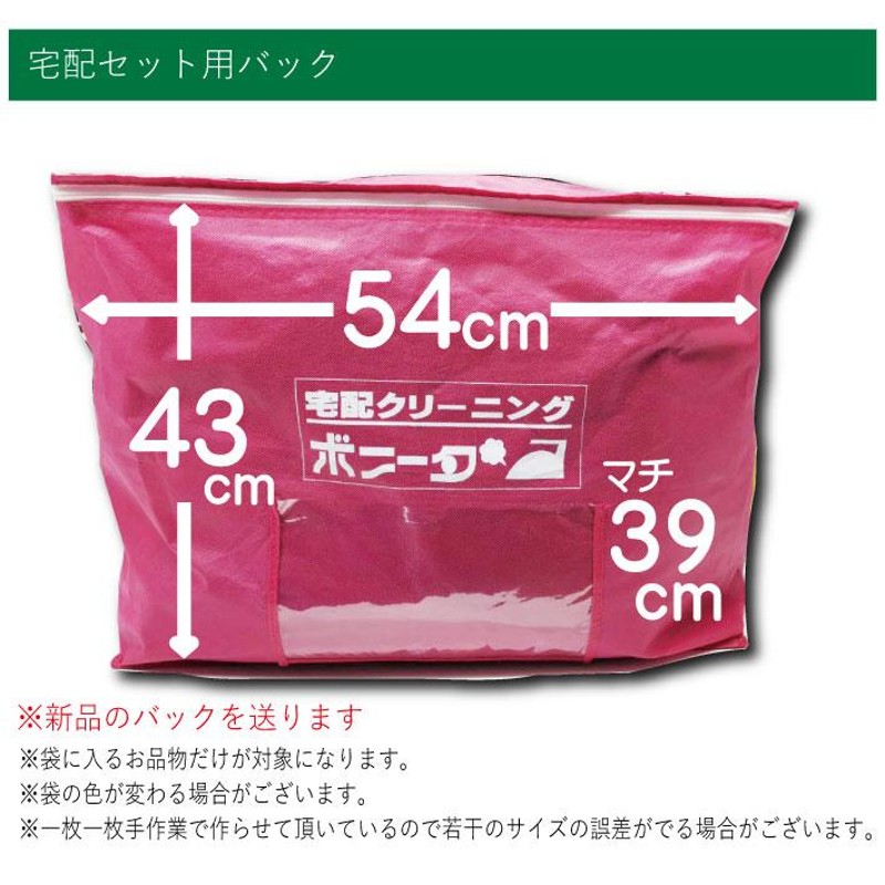 クリーニング 宅配 詰め放題 10点袋大（ブロガーさん推薦）衣替え 今