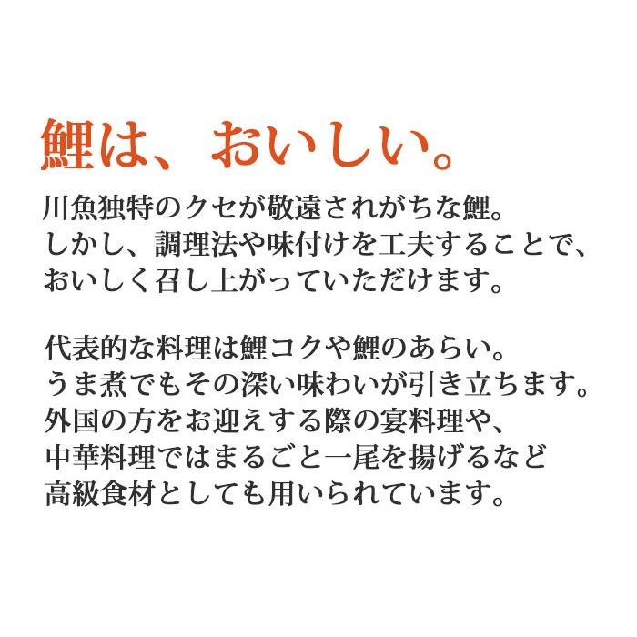 国産 鯉こく 6袋 コモリ食品 お歳暮 のし対応可