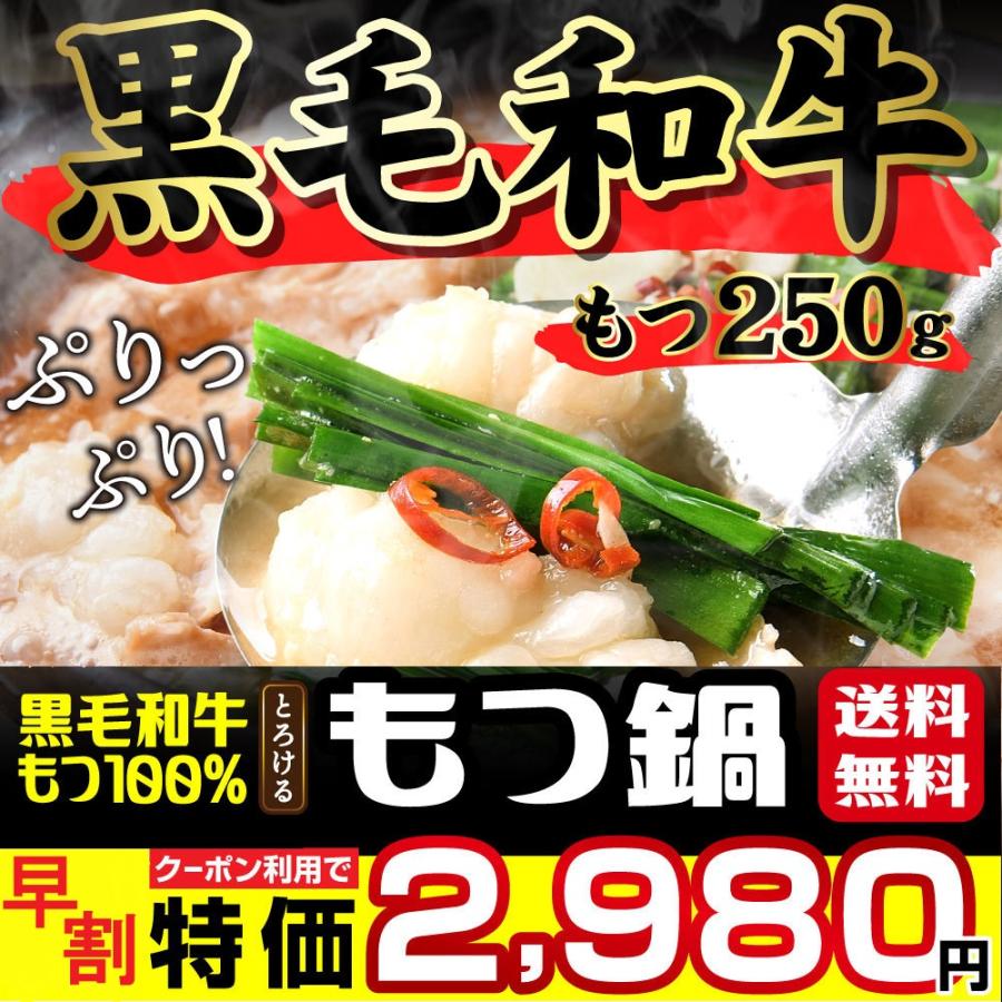 もつ鍋 黒毛和牛 もつ鍋セット 醤油 味噌 お取り寄せ 2〜3人前 最高級 もつ250g 送料無料 グルメ 贈り物