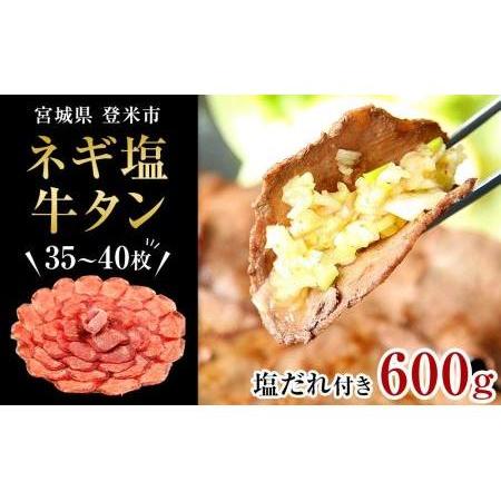 ふるさと納税 ネギ塩牛タン35〜40枚／600ｇ 宮城県登米市