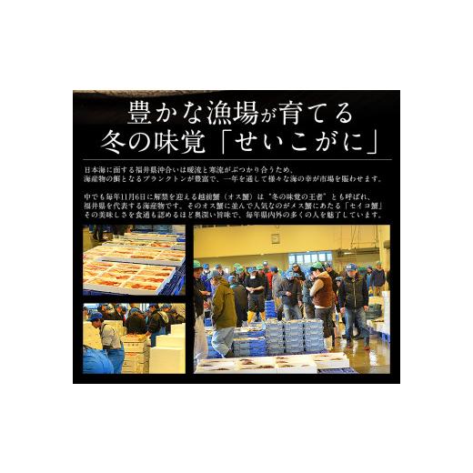 ふるさと納税 福井県 敦賀市 [順次発送]1度で4度楽しめる セイコ蟹甲羅盛り 約70g × 3個 セット【敦賀 塩荘 しおそう 越前ガニ えちぜん蟹 せいこ セ…