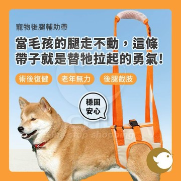 【CHL】高齡犬 後腿輔助帶 術後復健 步行支撐 上廁所免脫 依犬型分尺寸 貼合身型 寵物 穩固安心