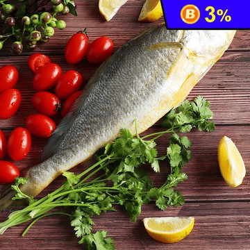 巨無霸野生深海黃魚