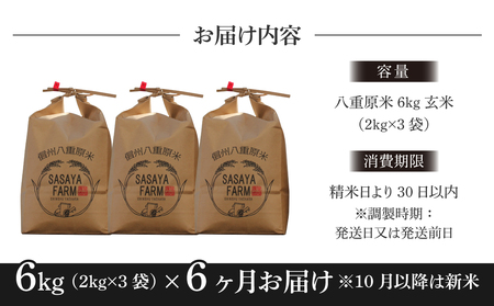 八重原米６kg（２kg×３袋）玄米